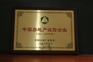 B1、中國(guó)房地產(chǎn)誠(chéng)信企業(yè)2005—2006年